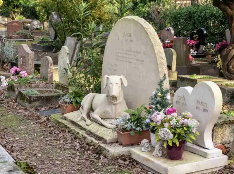 casa rosa   cimitero per animali   5