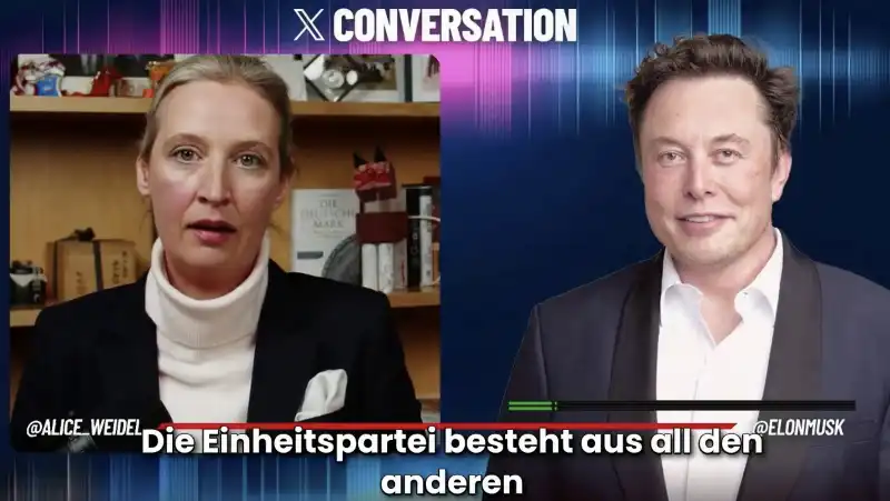 elon musk intervista alice weidel su x   1