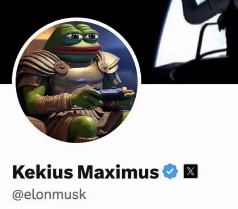 ELON MUSK - Kekius Maximus