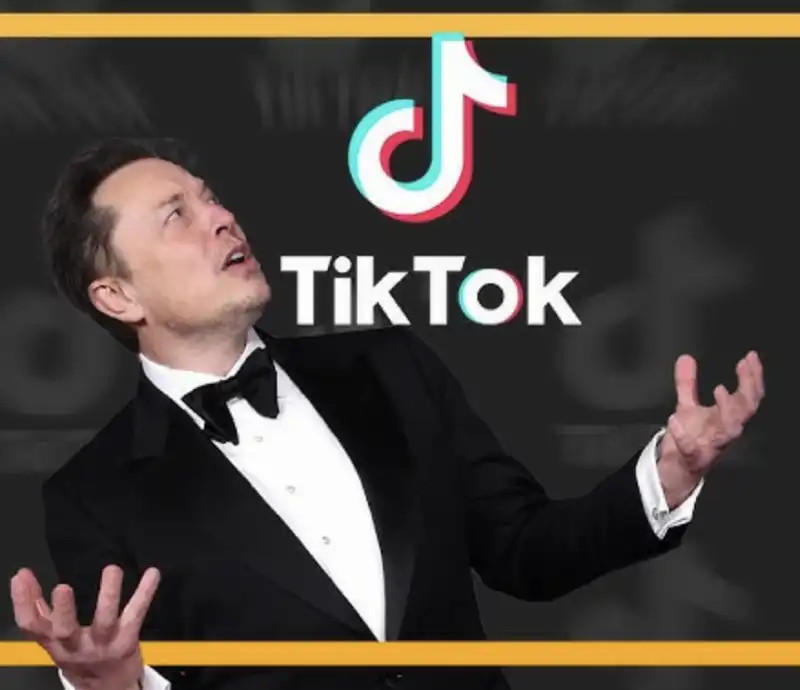 elon musk tiktok