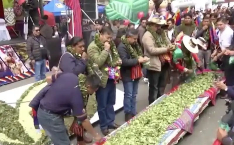 giornata della masticazione della coca in bolivia   2