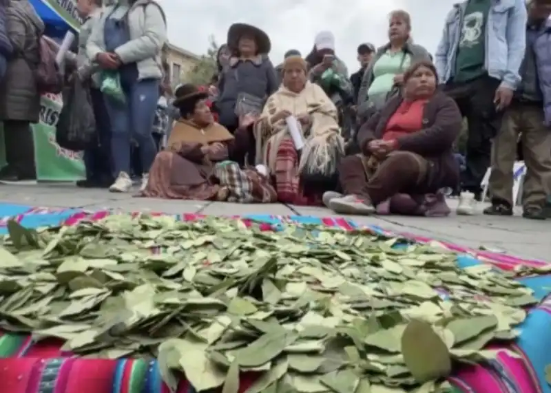 giornata della masticazione della coca in bolivia   4