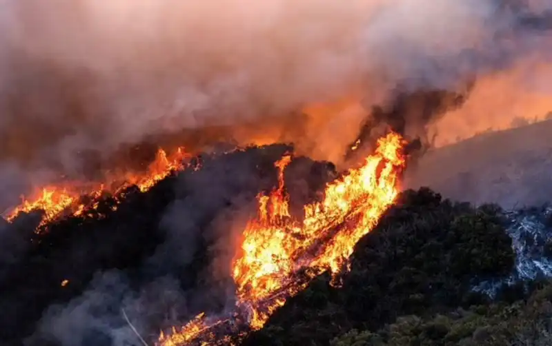 incendi a los angeles 6