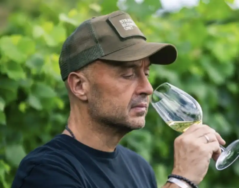 joe bastianich vino  8