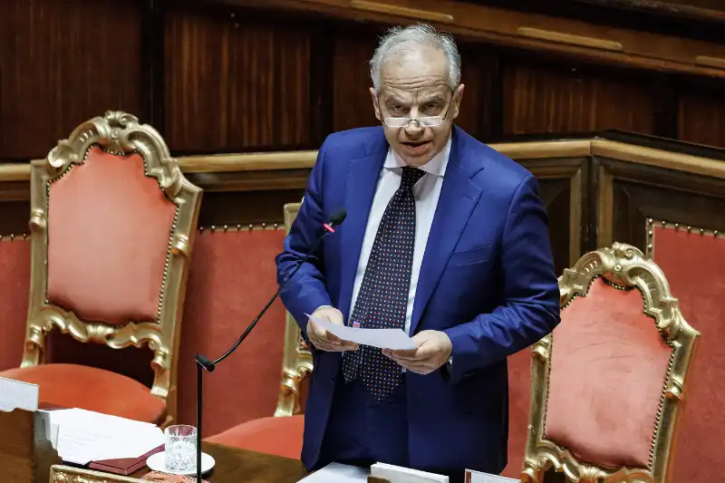 matteo piantedosi   question time in senato   foto lapresse