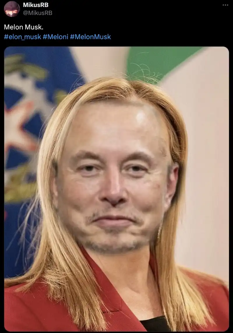 MELON MUSK - MEME 