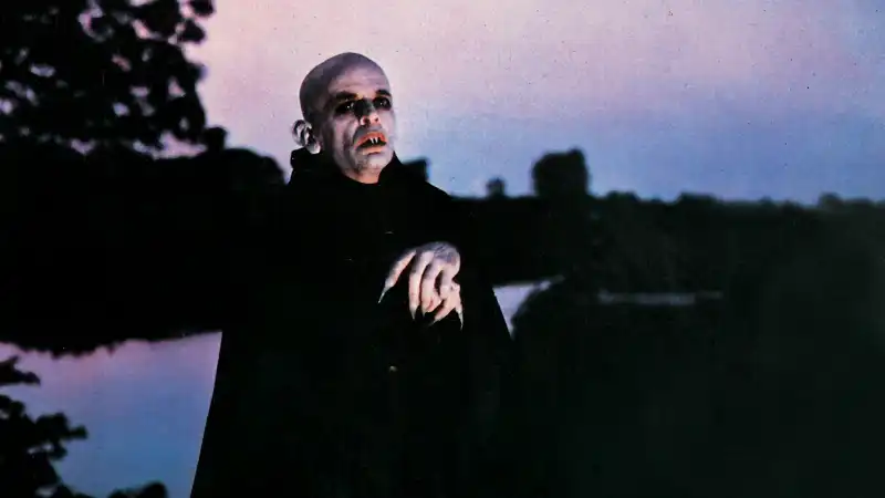 nosferatu di werner herzog  4