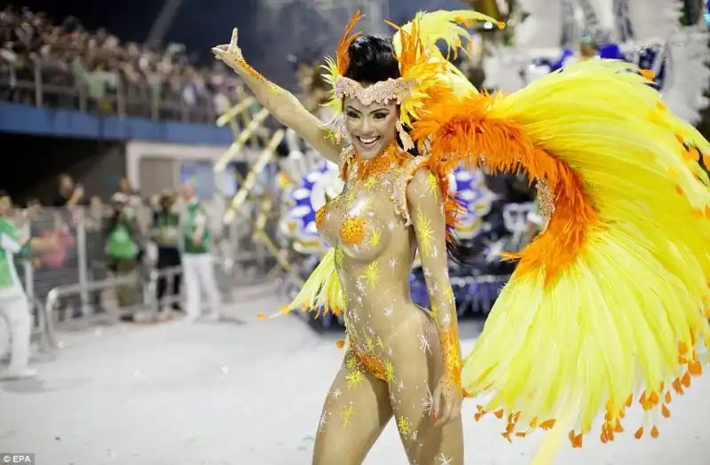 CARNEVAL DO BRASIL 2013