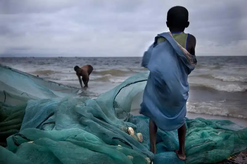 I bambini ghanesi trasportano centinaia di chili di pesce 