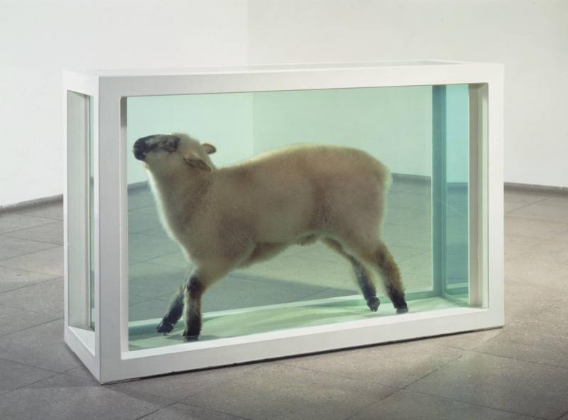 Fuori dal gregge di Damien Hirst