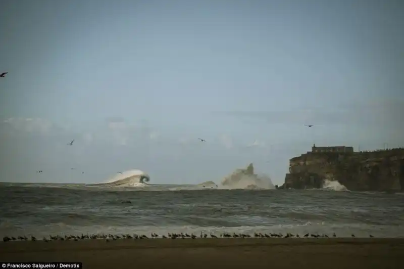 Le onde diventano mostri 