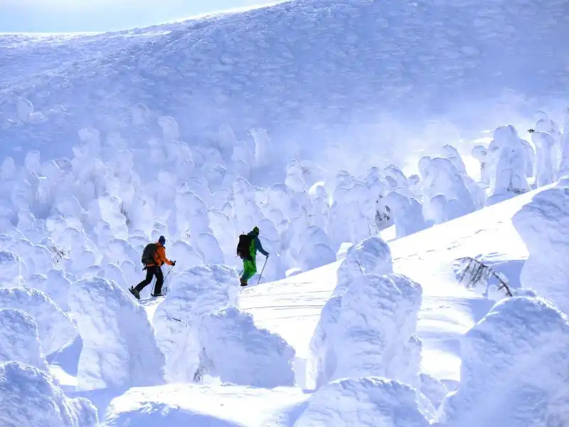 Sciatori a Yamagata Giappone 