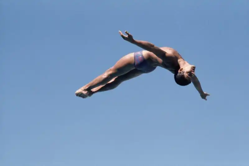 Il tuffatore Greg Louganis 