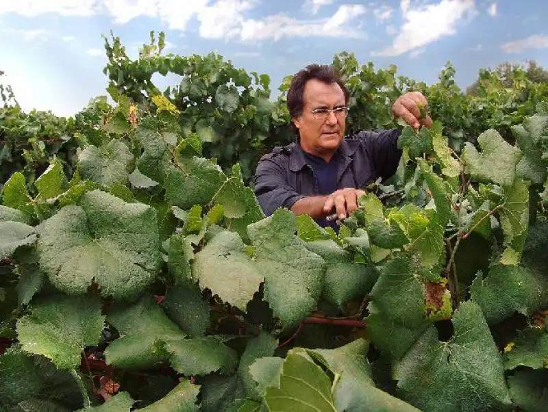 AL BANO IN CAMPAGNA 