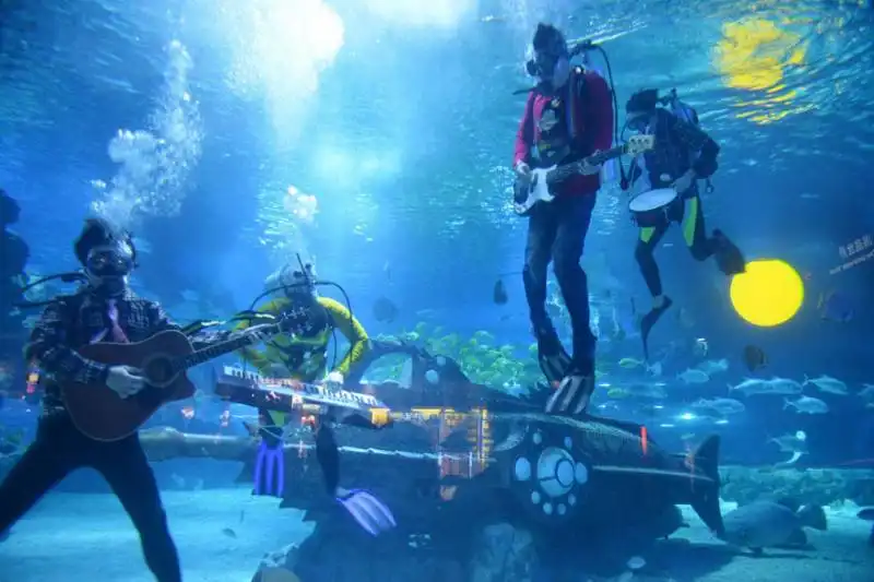 florida keys underwater music festival (usa) 2