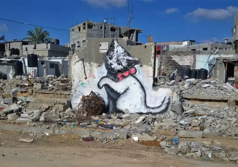 gatto di banksy a gaza