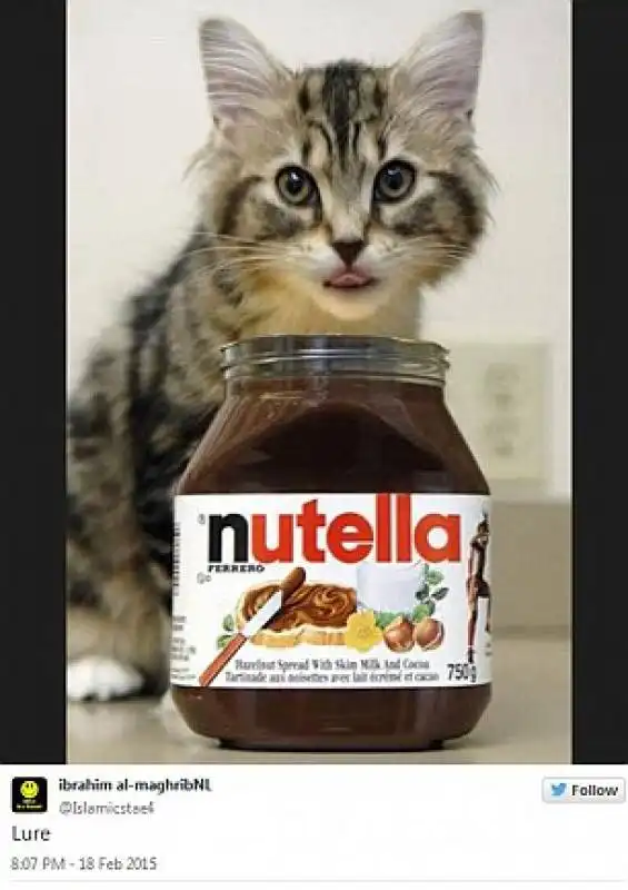 isis recluta donne con nutella e gattini 5