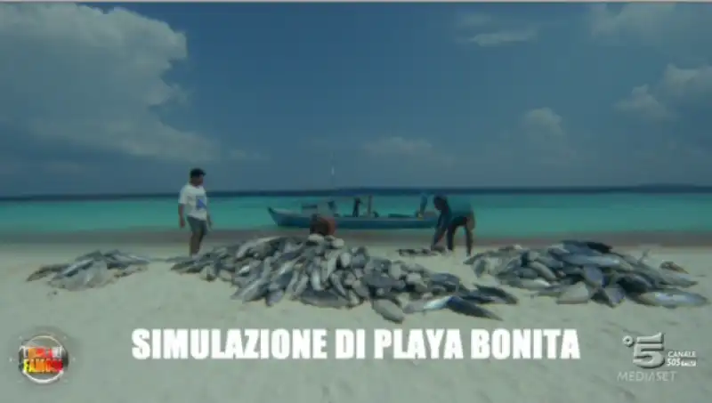 isola dei famosi    15