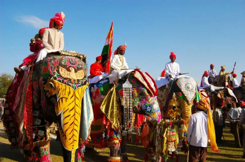 jaipur elephant festival (india) 2