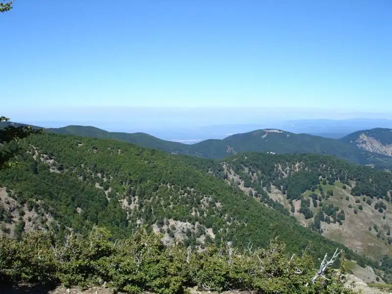 MASSICCIO DELL'' ASPROMONTE