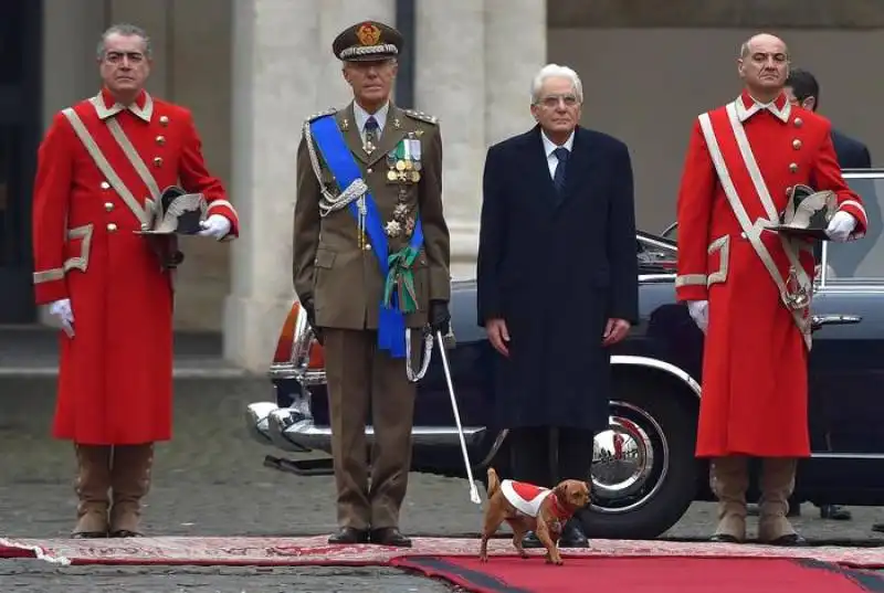 mattarella cagnolino