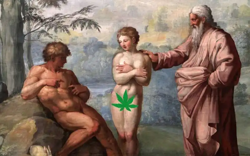 foria prodotti per la vagina a base di cannabis