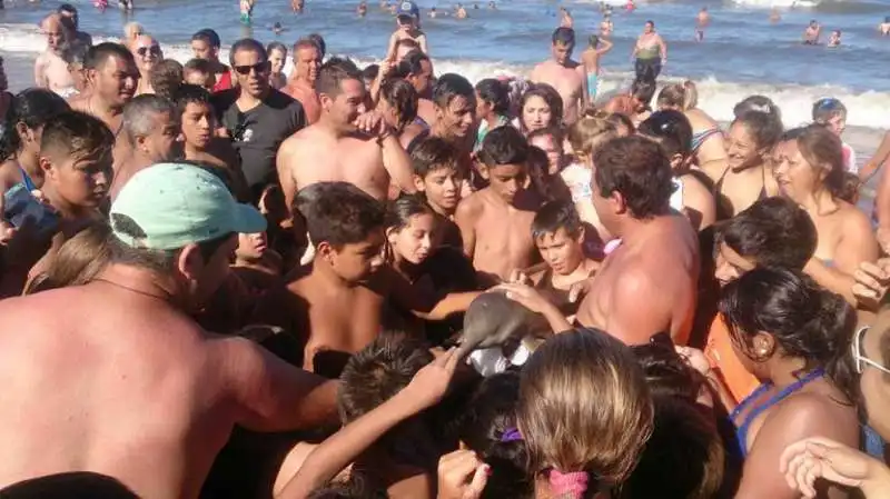 i turisti e il selfie con il delfino  5