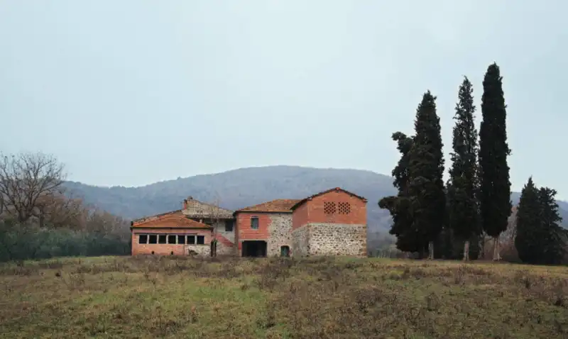 LA DORNA BADIA AL PINO BOSCHI