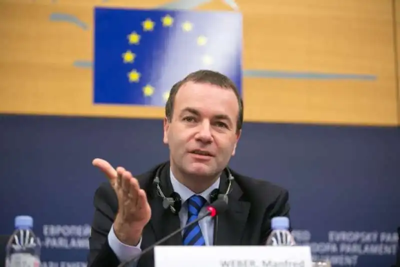 manfred weber