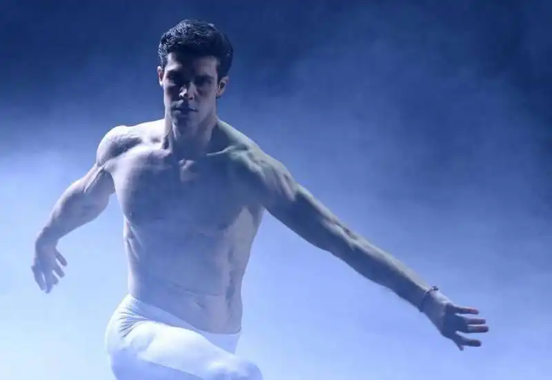 roberto bolle