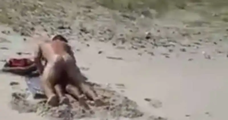 SESSO IN SPIAGGIA BRASILE - LIVELEAK