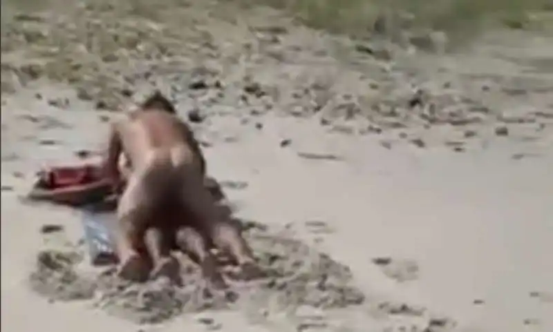 SESSO IN SPIAGGIA BRASILE - LIVELEAK