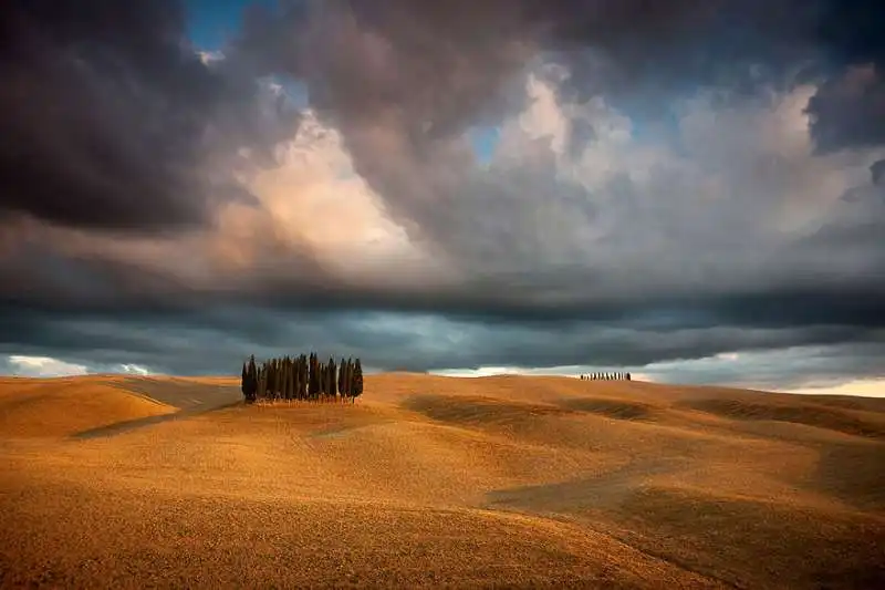 toscana 9