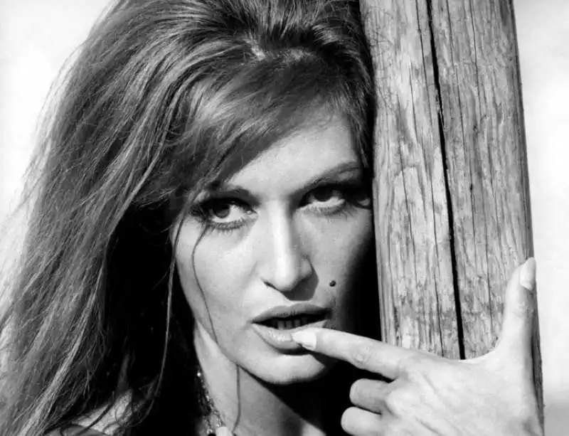 dalida    