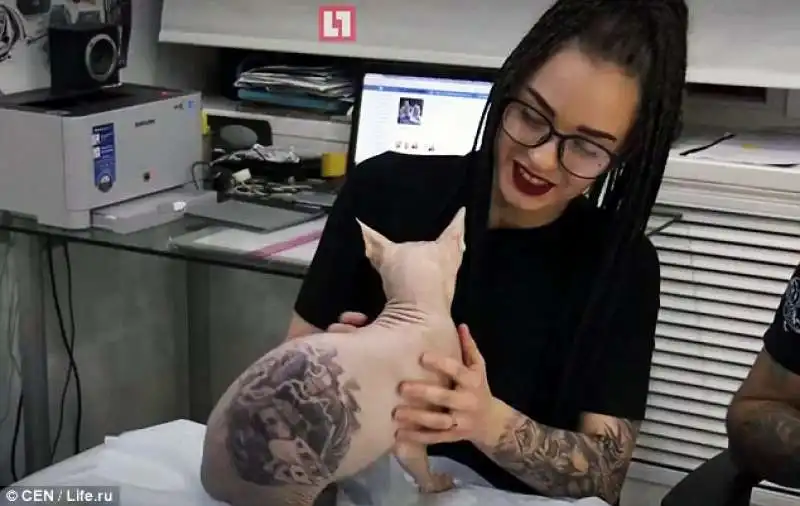 lo sphynx tatuato