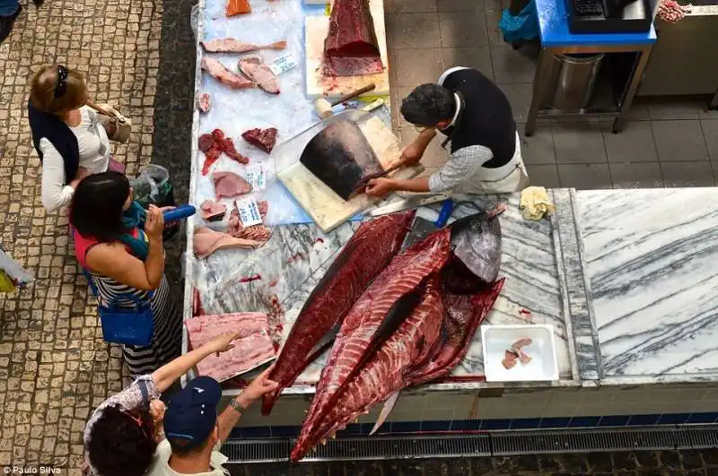 mercato del pesce in portogallo