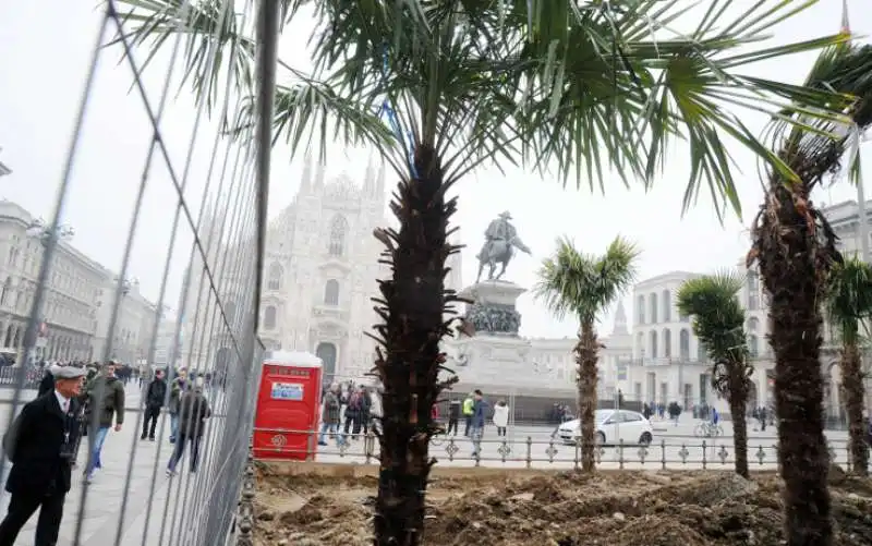 palme   bruciate   piazza duomo milano