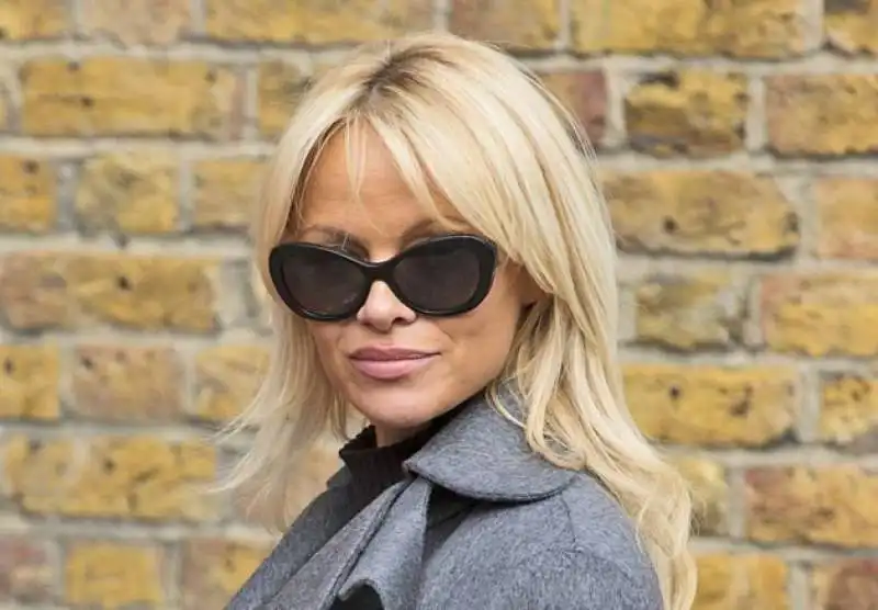 PAMELA ANDERSON VA A TROVARE JULIAN ASSANGE