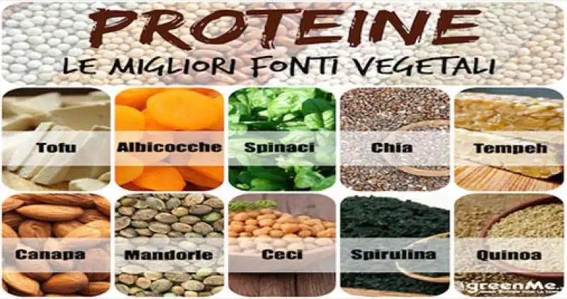 PROTEINE VEGETALI 