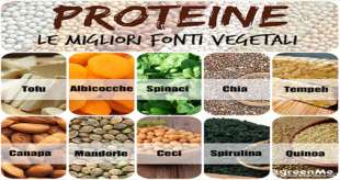 PROTEINE VEGETALI