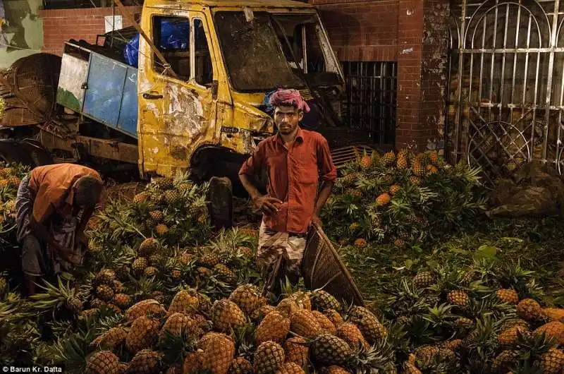 raccoglitori di ananas