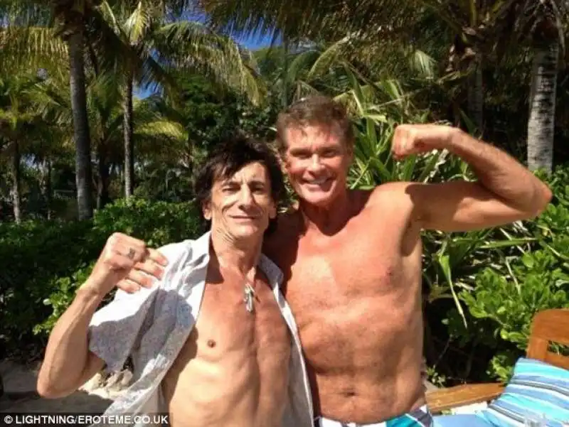 ron wood e hasselhoff a necker island