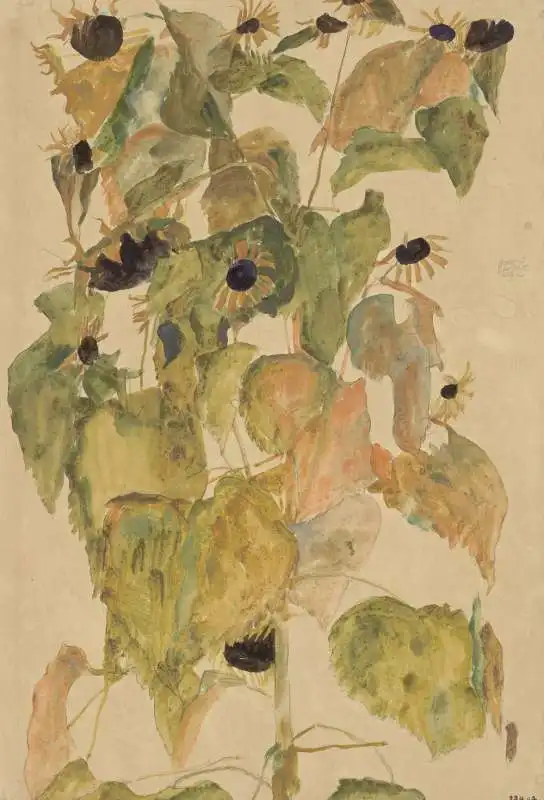 schiele girasoli