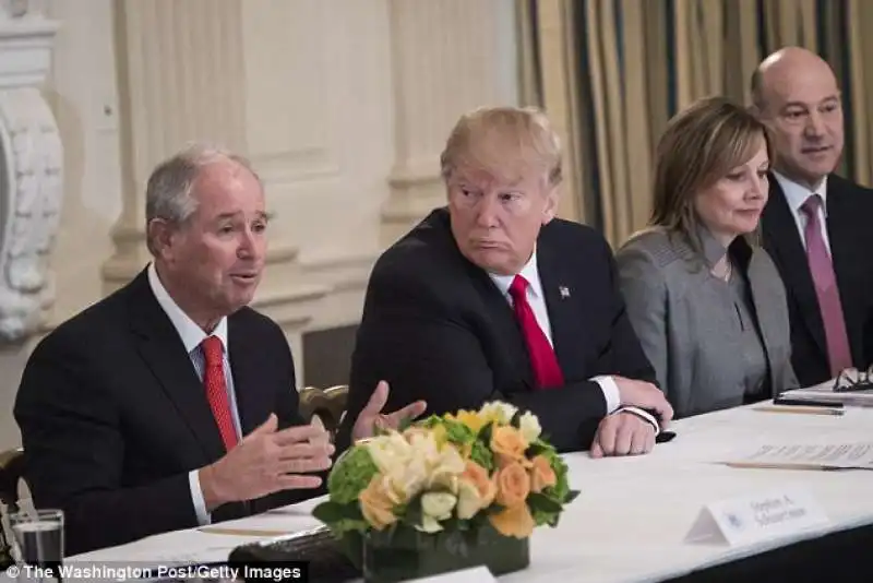 schwarzman consulente di trump