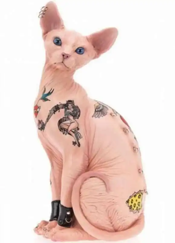 tatuaggio da sphynx