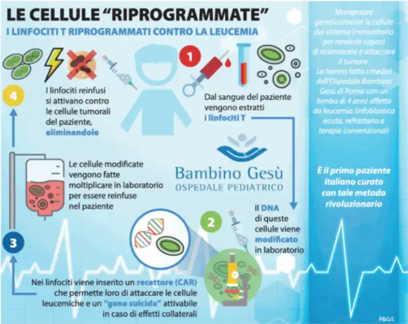 CELLULE RIPROGRAMMATE cura genica