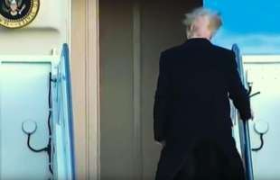 i capelli di donald trump