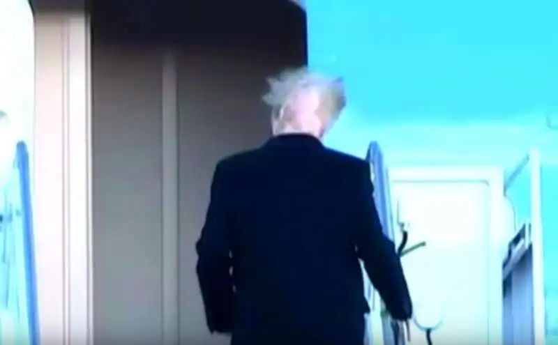 i capelli di donald trump al vento