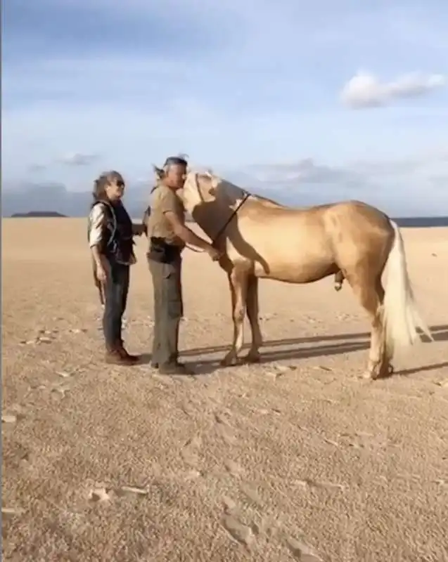 cecilia rodriguez e il cavallo con il pisello di fuori 4