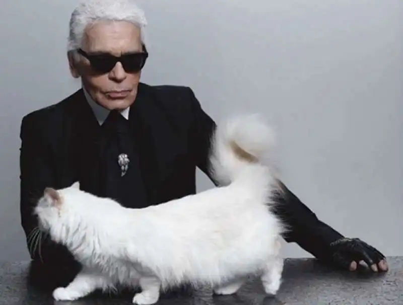 choupette e karl lagerfeld 4